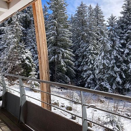Studio Chamrousse 1700 Pour 4 Personnes - Au Calme - Avec Wifi Buitenkant foto