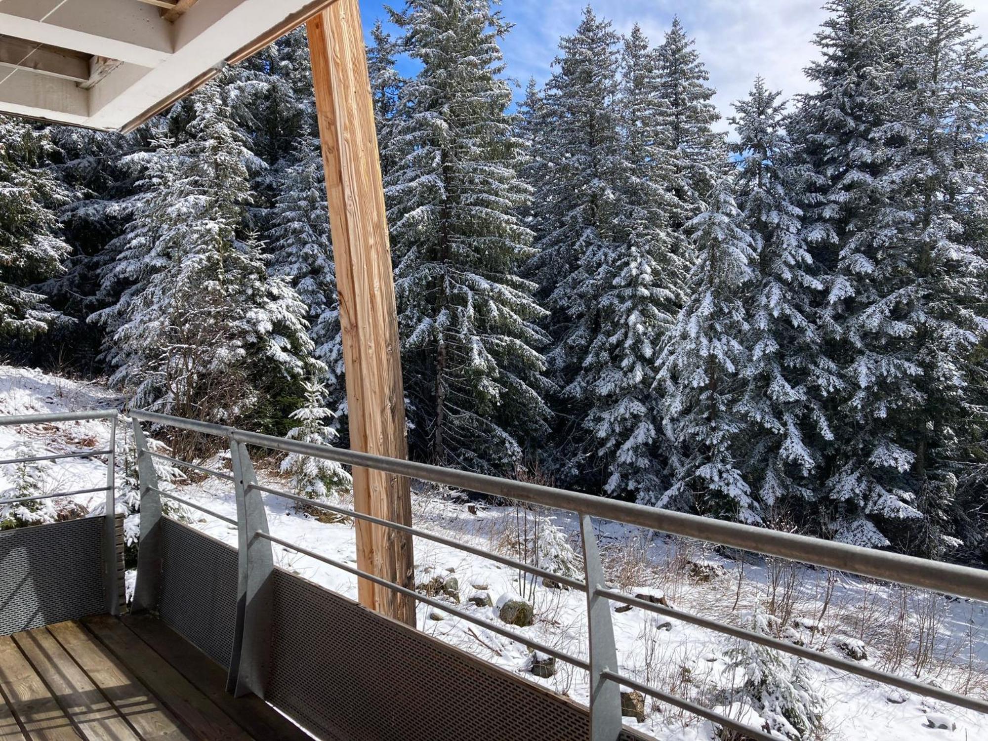 Studio Chamrousse 1700 Pour 4 Personnes - Au Calme - Avec Wifi Buitenkant foto